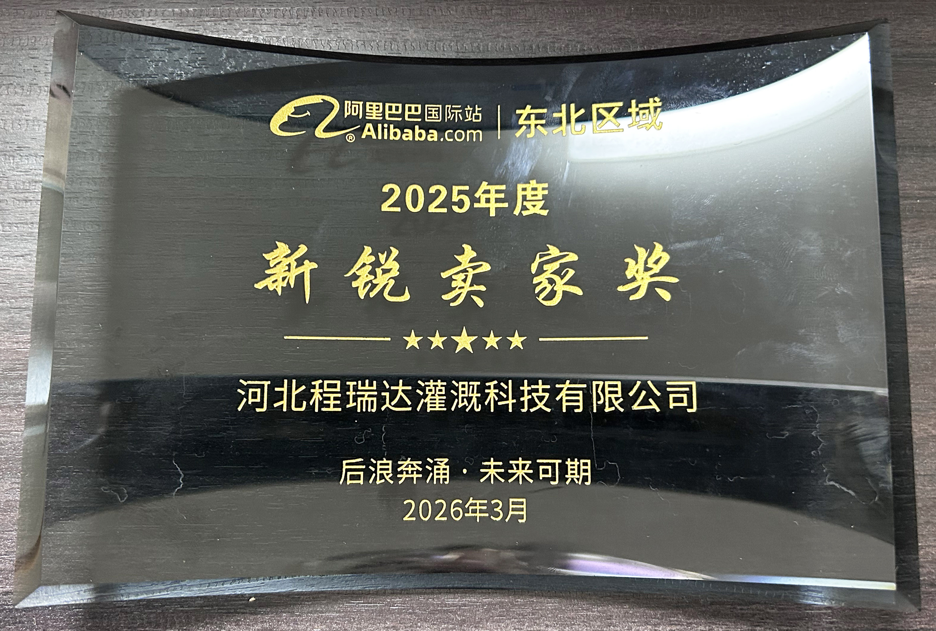 南京程瑞达灌溉 | 荣获阿里国际站新锐卖家奖